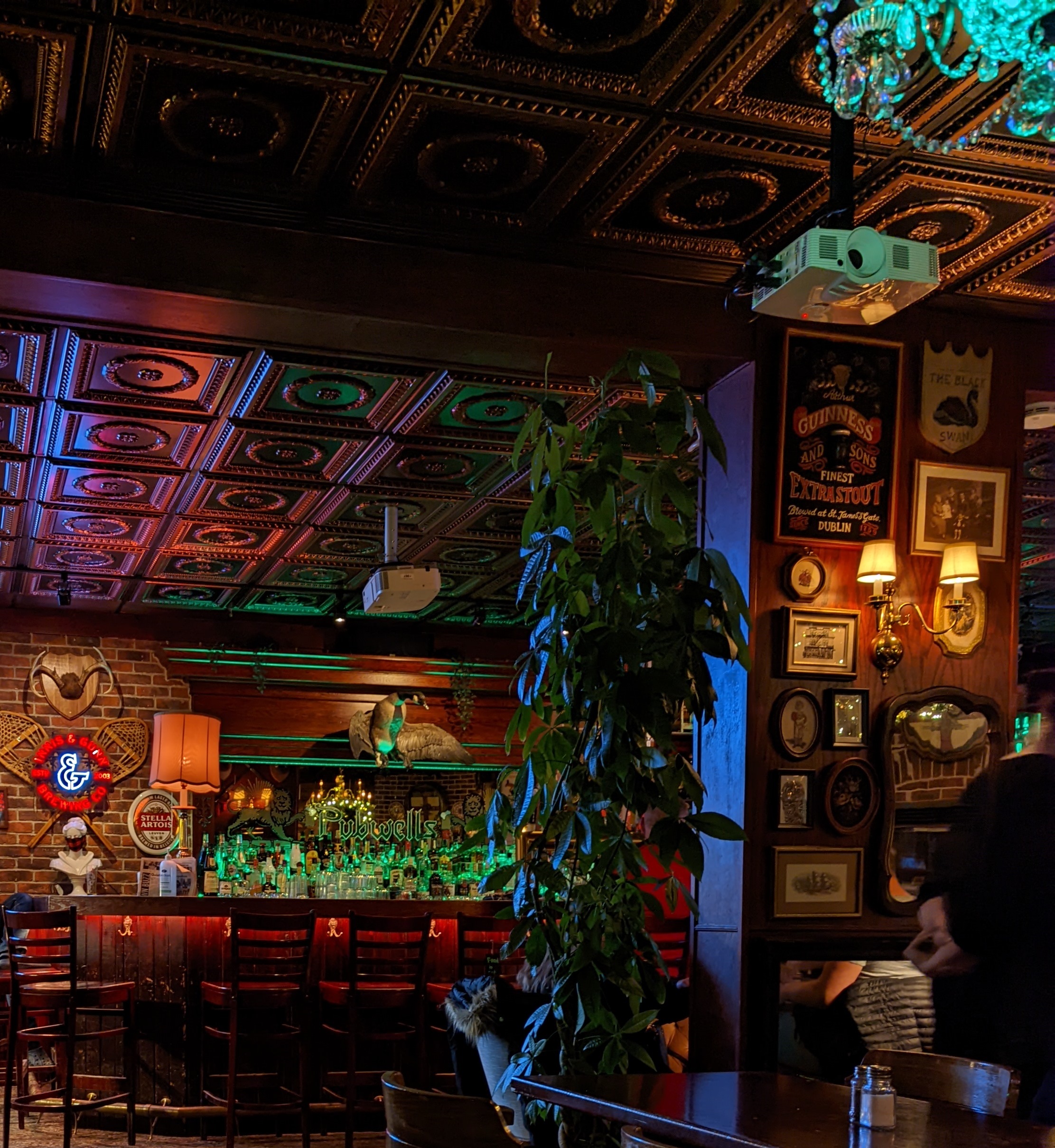 Evening shot of Pubwells' interior, with warm lighting reflecting off the nice tin ceiling